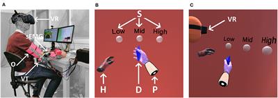 Tactile Feedback in Closed-Loop Control of Myoelectric Hand Grasping: Conveying Information of Multiple Sensors Simultaneously via a Single Feedback Channel